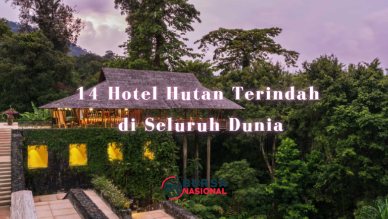14 Hotel Hutan Terindah di Seluruh Dunia