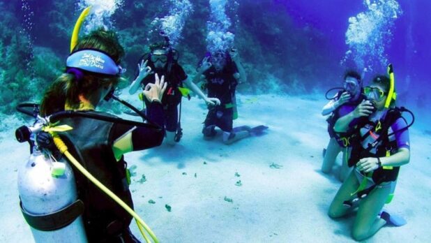 Spot Diving Terbaik di Indonesia